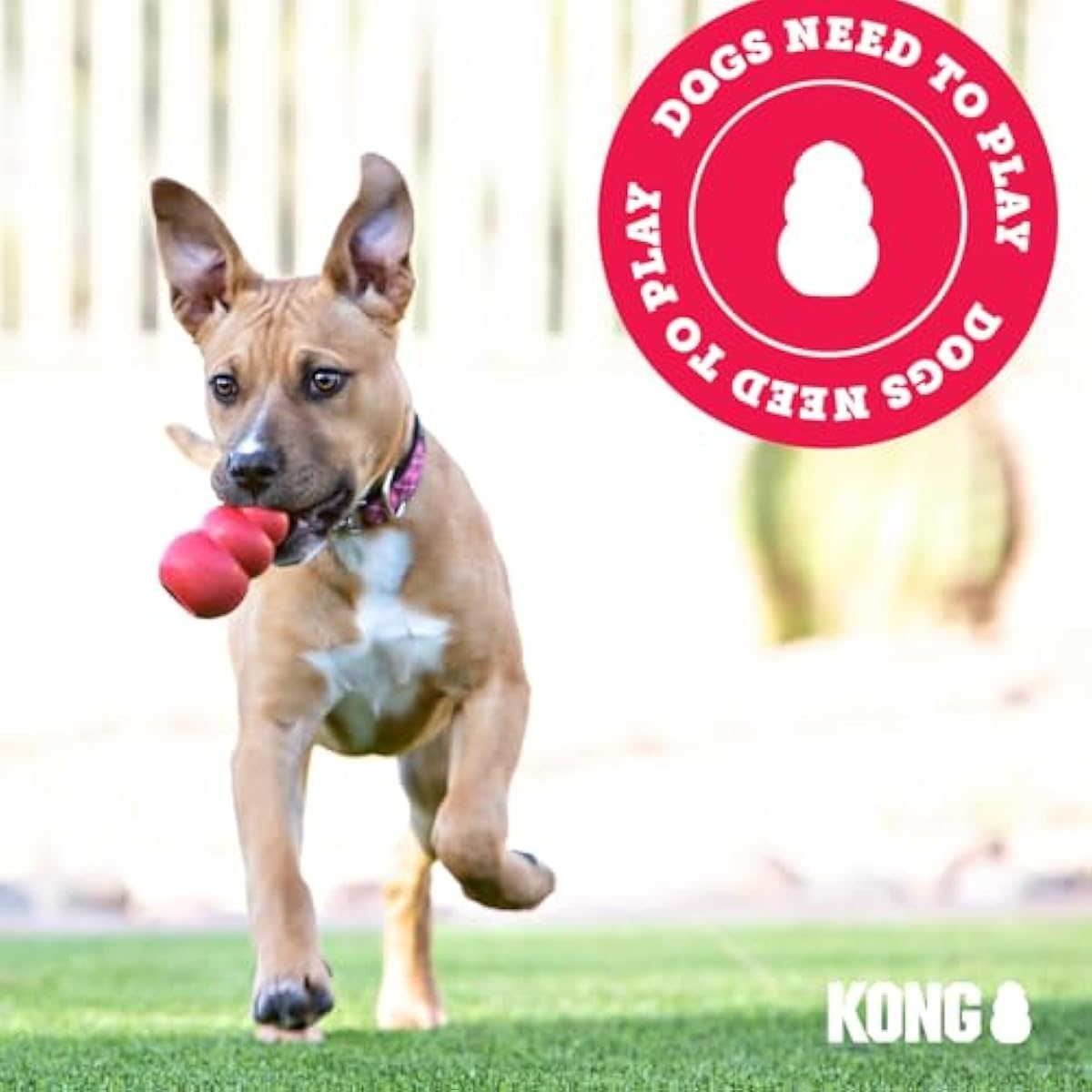 KONG Flyer - Durable Dog Toy for Outdoor Playtime - Natural Rubber Flying Disc, Dog Toy for Fetch - Safer Disc for Healthy Activity - for Medium/Large Dogs
