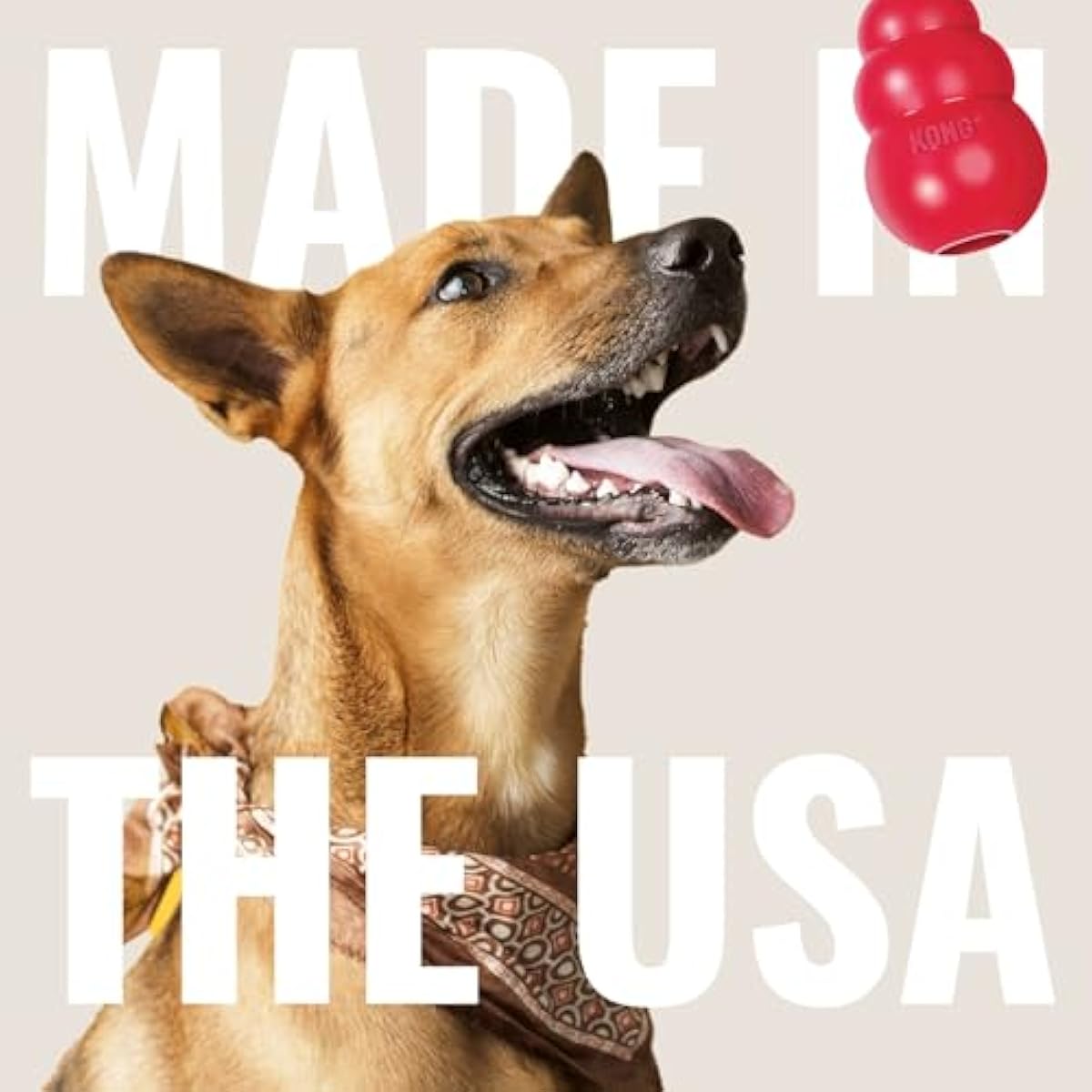 KONG Flyer - Durable Dog Toy for Outdoor Playtime - Natural Rubber Flying Disc, Dog Toy for Fetch - Safer Disc for Healthy Activity - for Medium/Large Dogs