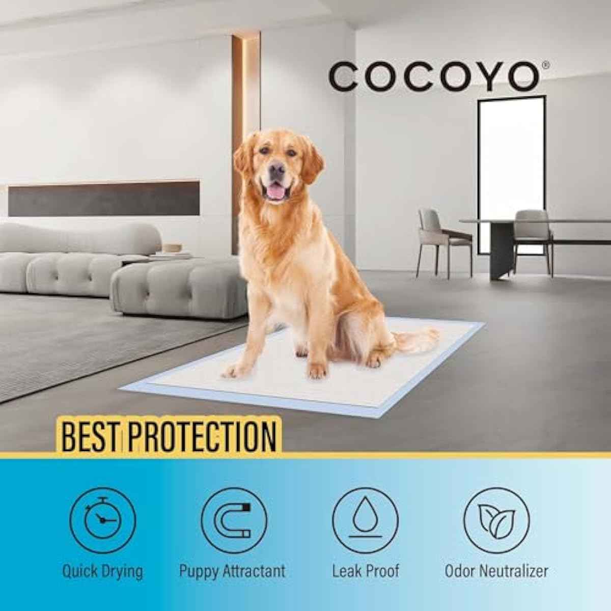 COCOYO Best Value 22"x22" Dog Training Pads 50 Count | Dog Pee Pads | Super Absorbent Puppy Pads,White