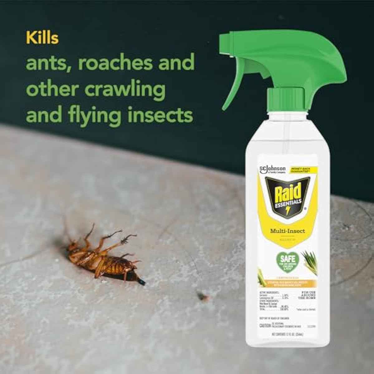 Raid Essentials Multi-Insect Killer Spray, Child and Pet Safe, for Indoor Use, Lemongrass Scent, 12 fl oz