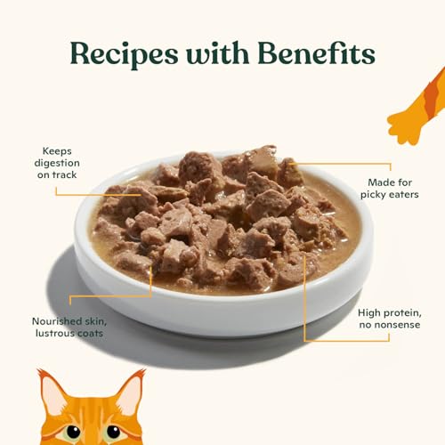Made by Nacho Wet Cat Food, Cuts in Gravy, Sustainably-Caught Salmon with Bone Broth for Extra Hydration, (12) 3 oz. Pouches, Limited Ingredients