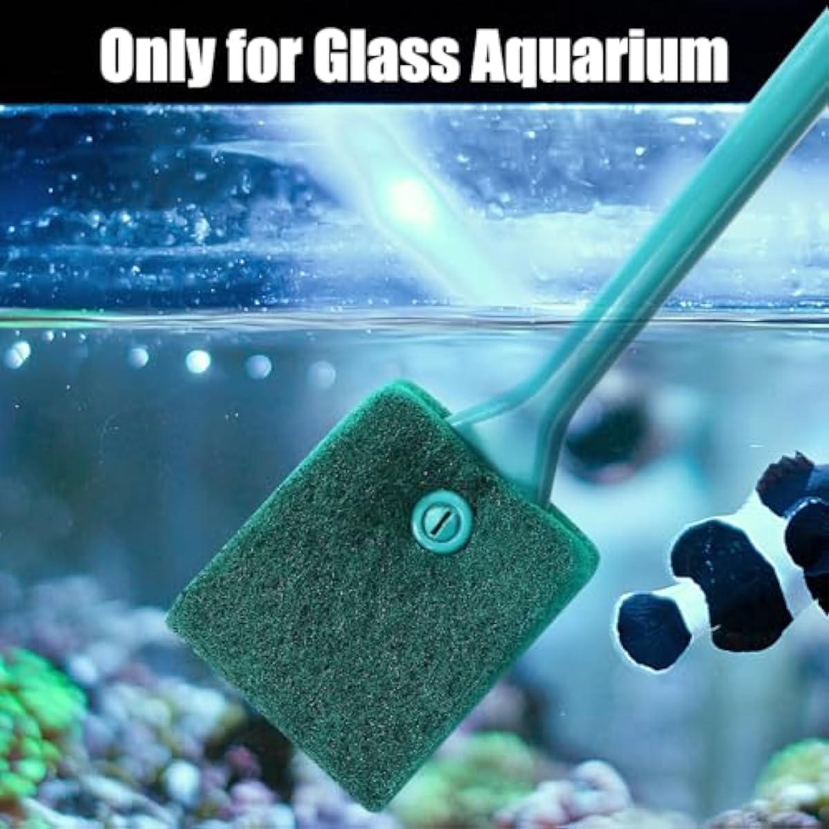 AQUANEAT Fish Tank Cleaning Tools, Aquarium Double Sided Sponge Brush, Algae Scraper Cleaner with Long Handle