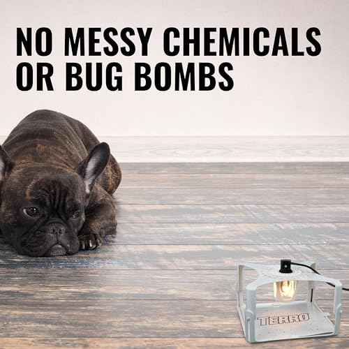 Terro T230 Indoor Electric Flea Trap and Killer - Refillable Flea Traps for Inside Your Home