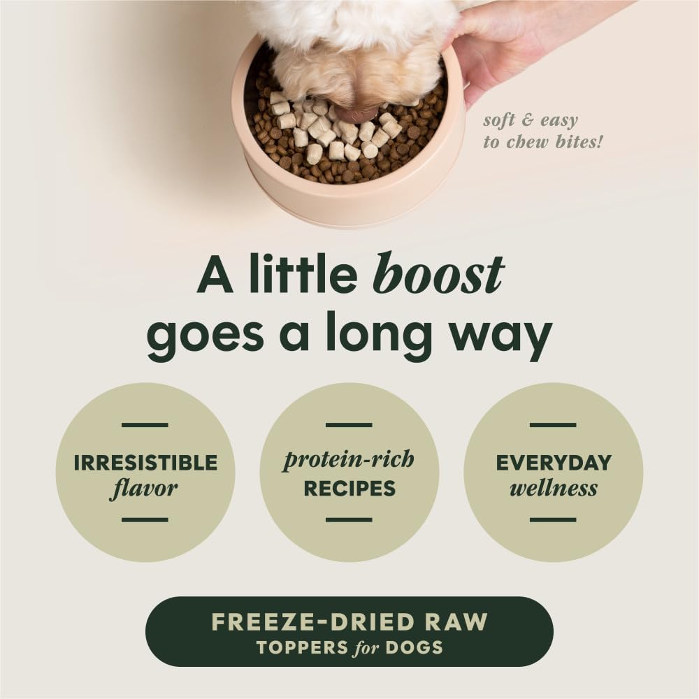 Instinct Raw Boost Mixers, Freeze Dried Dog Food Topper, Grain Free Recipe - All-Natural Beef, 6 oz. Bag
