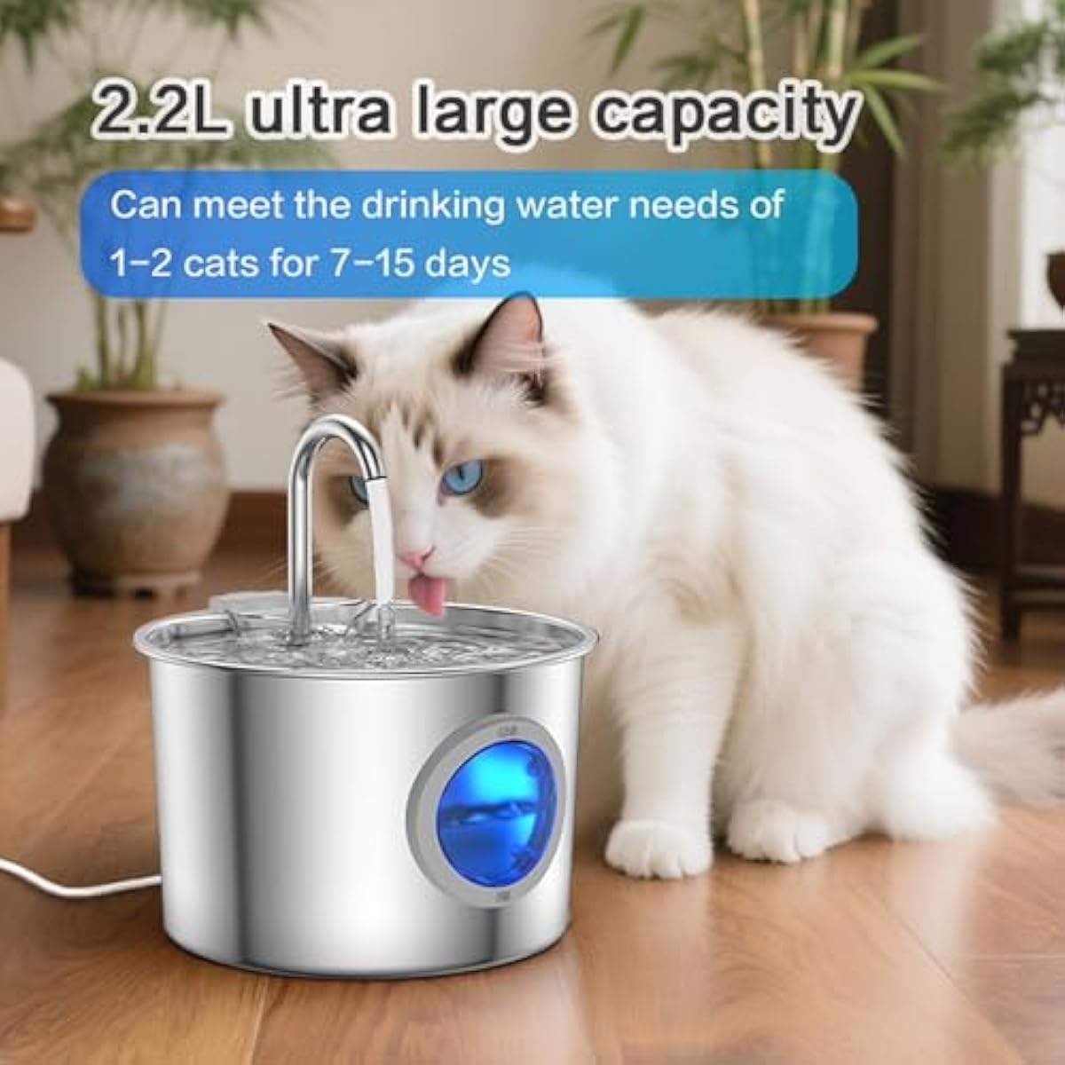 Cat Water Fountain Advanced 304 Stainless Steel 2.2L/74oz with Detachable Tank, Easy to Clean