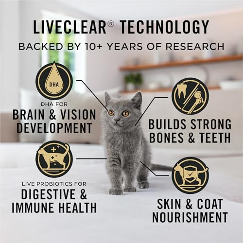 Purina Pro Plan LiveClear Dry cat Food for Kittens Cat Allergen Reducer Chicken and Rice Formula - 5.5 lb. Bag