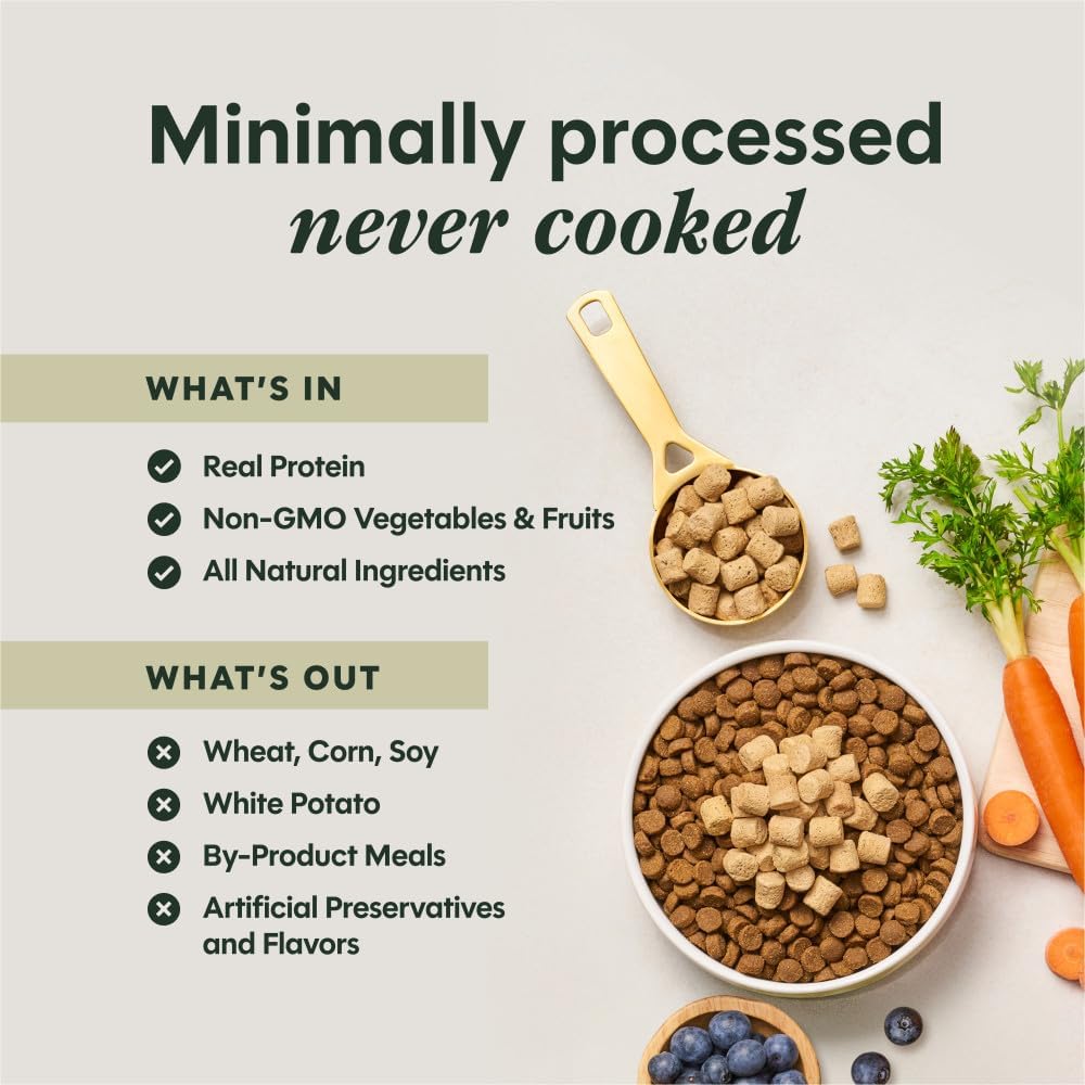 Instinct Raw Boost Mixers, Freeze Dried Dog Food Topper, Grain Free Recipe - All-Natural Beef, 6 oz. Bag