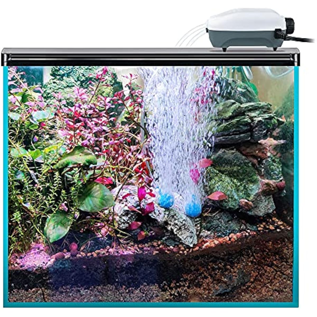 HITOP Dual Outlet Aquarium Electric Air Pump, Whisper Adjustable Fish Tank Aerator, Quiet Oxygen Pump with Accessories for 20 to 100 Gallon
