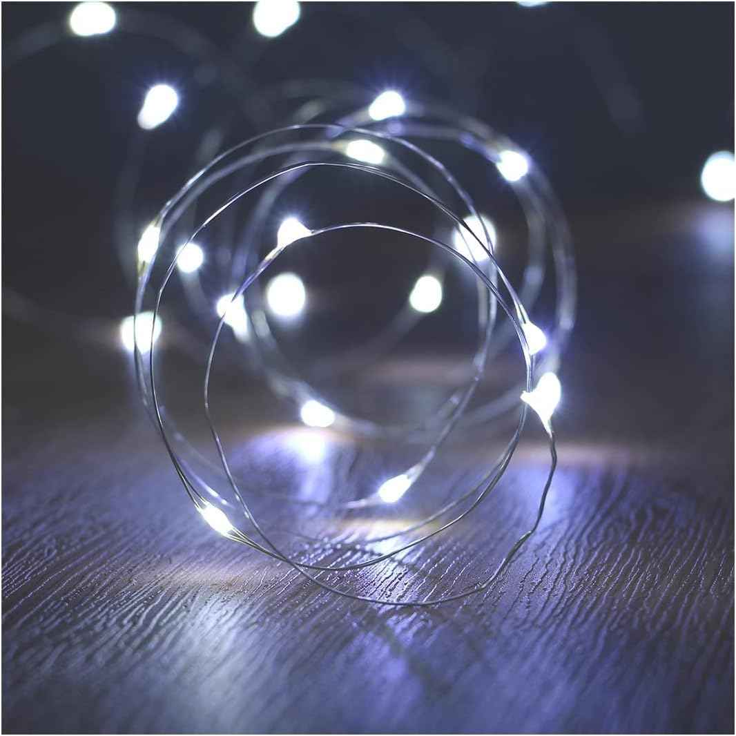 ANJAYLIA LED Fairy String Lights, 10Ft/3M 30leds Firefly String Lights Garden Home Party Wedding Festival Decorations Crafting Battery Operated Lights, Warm White