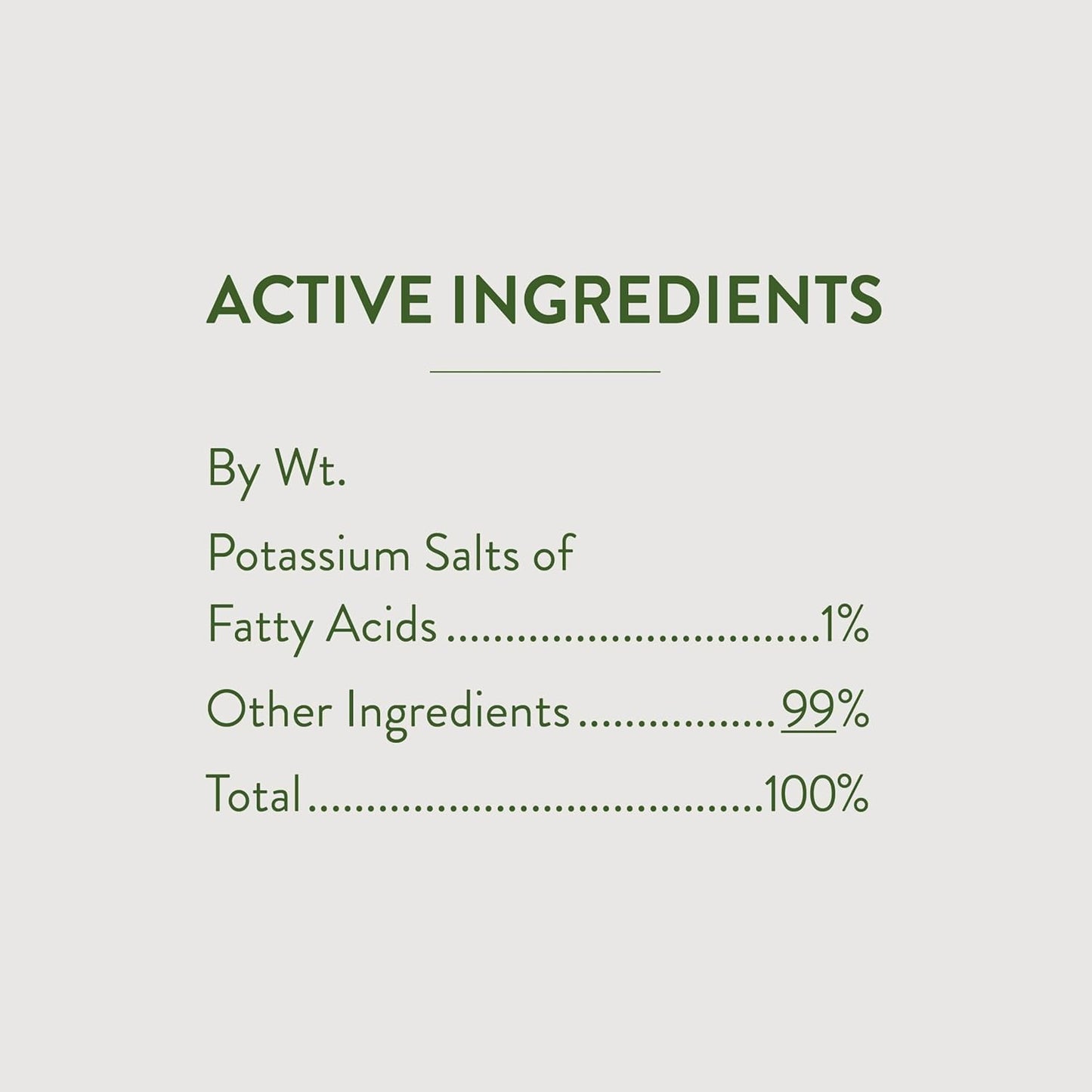 Garden Safe 32 oz. Insecticidal Soap Ready-to-Use, 1 Count (Pack of 1)