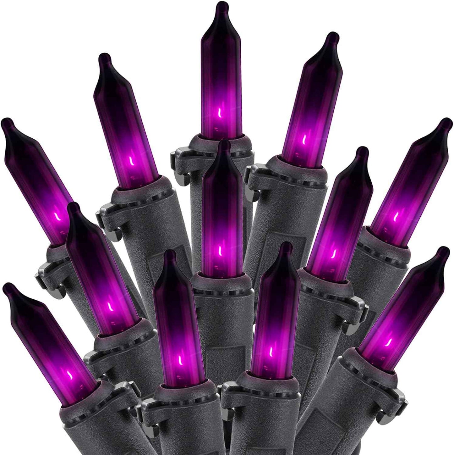 Clear Christmas String Lights, 100 Count Mini Incandescent Bulbs, 25FT Green Wire Indoor Holiday Lights