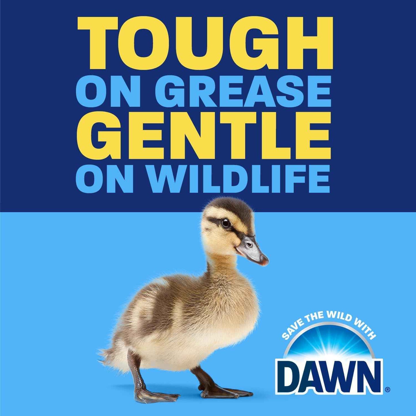 Dawn EZ-Squeeze Ultra Dish Soap, Dishwashing Liquid, Original, Dish Soap Refill, 22 fl oz