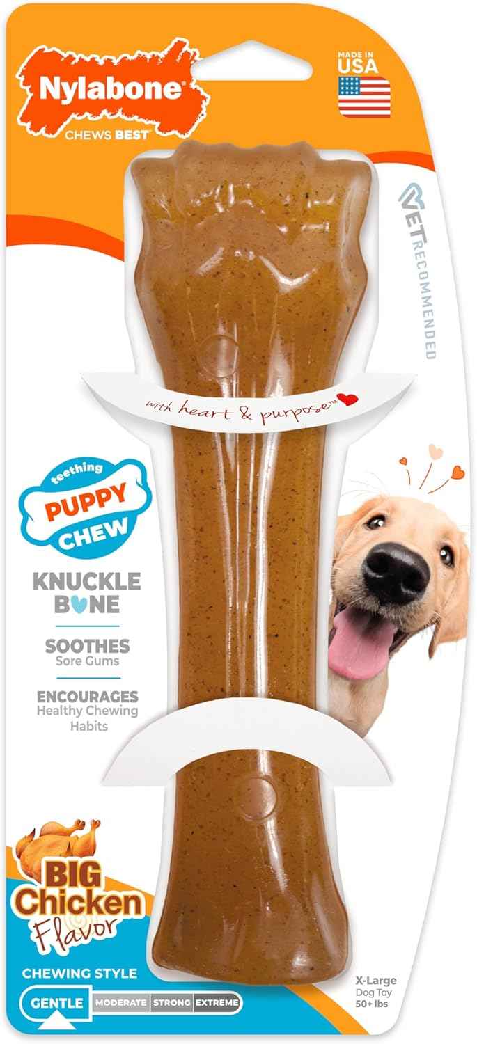 Nylabone Ring Bone Chew Toy for Puppies, Puppy Teething Toys, Puppy Enrichment Toys, Chicken Flavor, X-Small Dogs - Up to 15 lbs, 1 Count