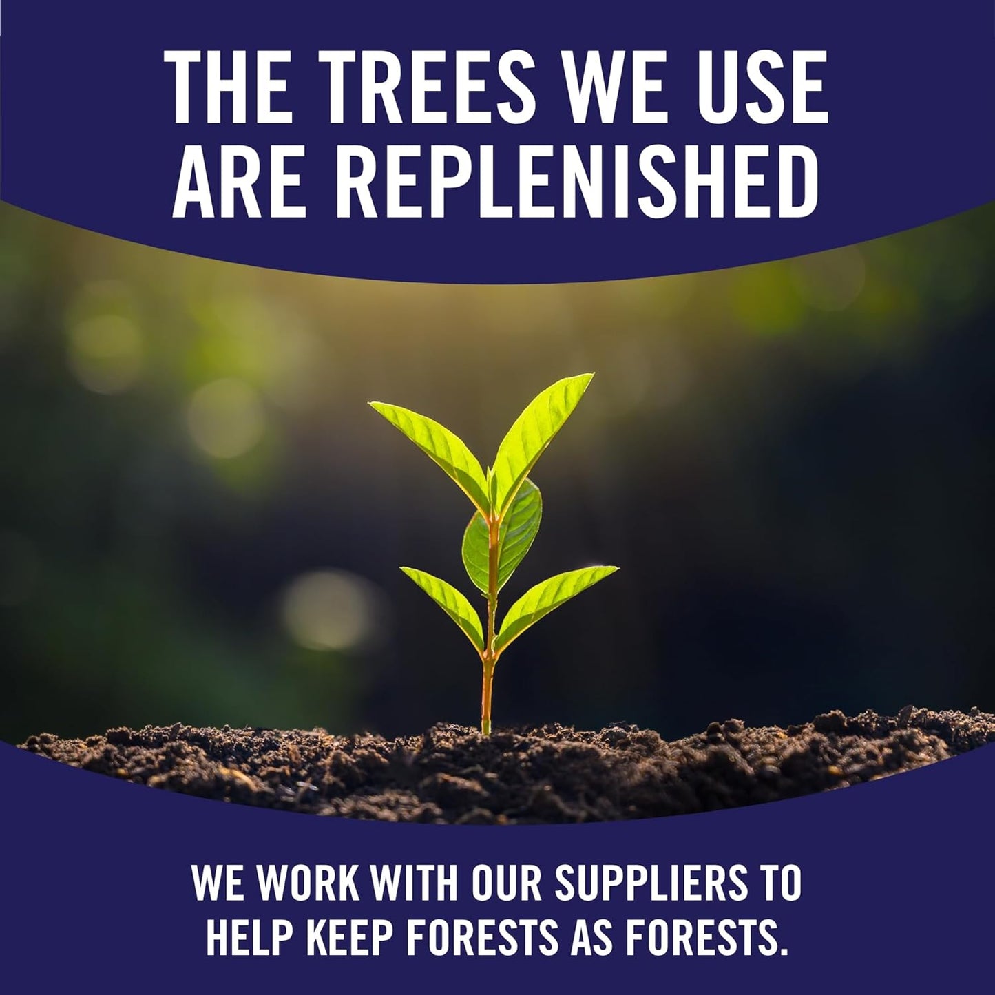 Sparkle Pick-A-Size Paper Towels, Spirited Prints, 6 Double Rolls = 12 Regular Rolls, Everyday Value Paper Towel With Full And Half Sheets - Rayz Mart