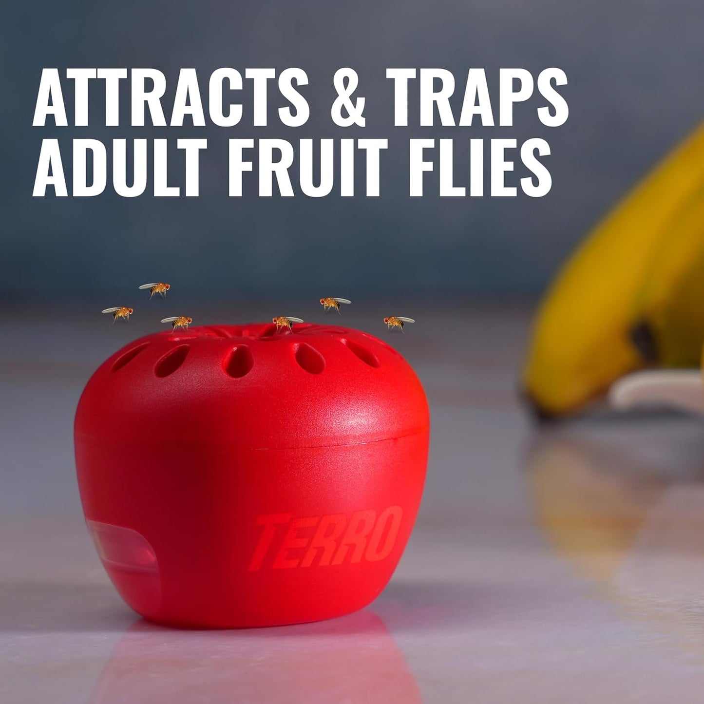 Terro Fruit Fly Traps for Indoors (6 Pack) + 270 Days of Lure Supply