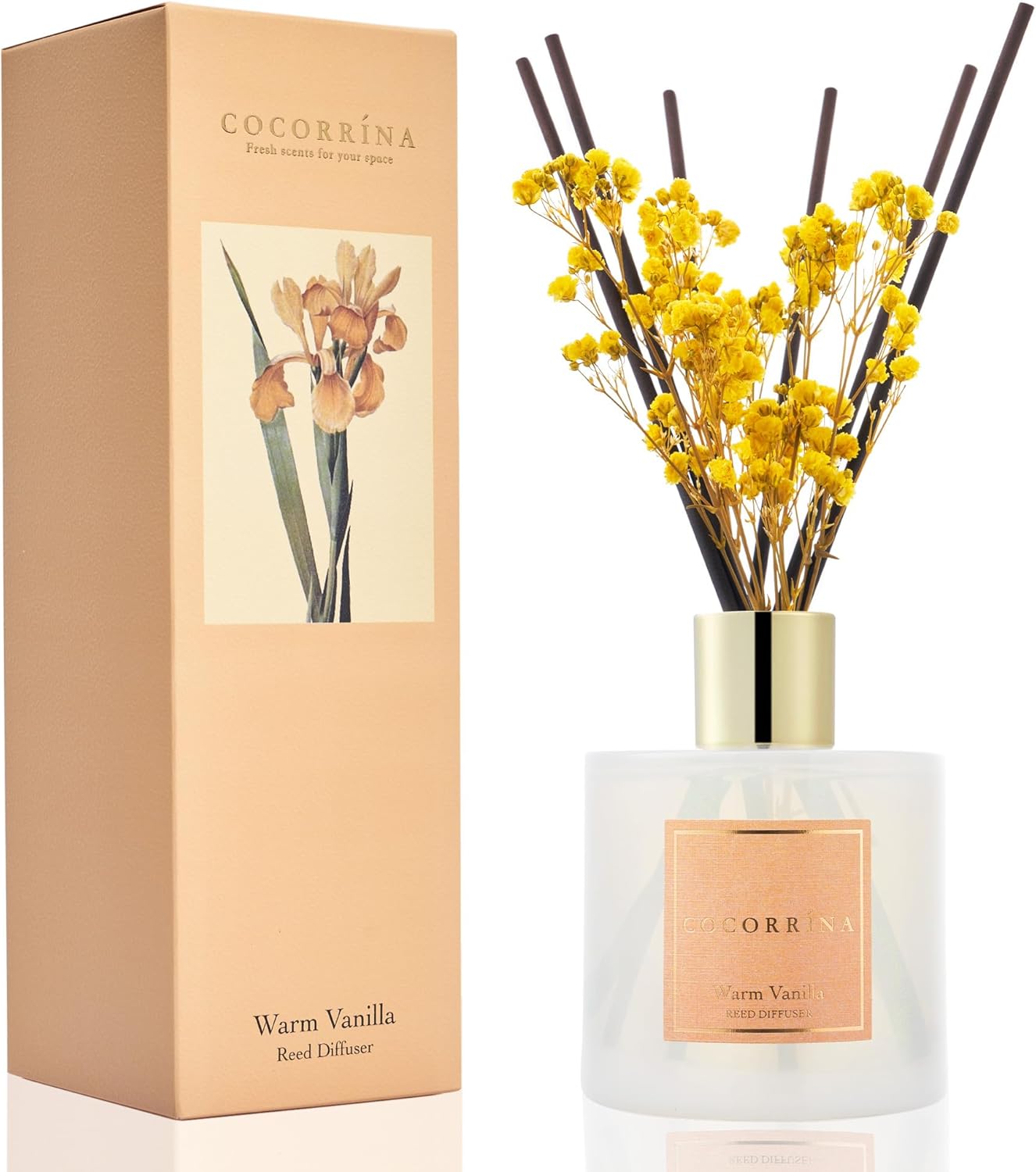 Cocorrína Premium Reed Diffuser Set with Preserved Baby's Breath & Cotton Stick Cashmere Vanilla | 6.7 fl oz Scent Fragrance Oil Diffuser for Bedroom Bathroom Home Décor
