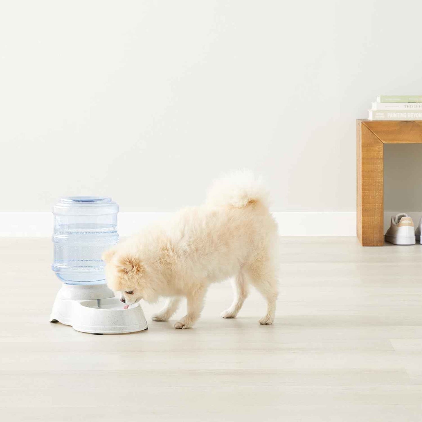 Amazon Basics Gravity Pet Water Dispenser for Cat, Dog, 1 gallon Capacity, Small, Gray