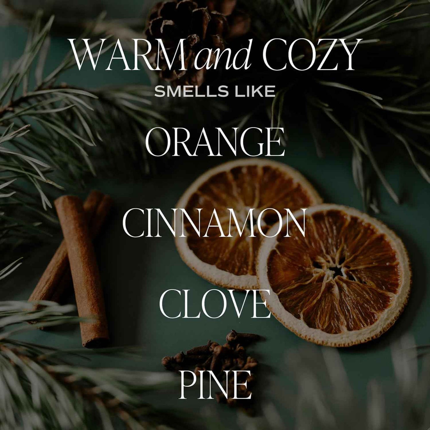 Sweet Water Decor Warm and Cozy Soy Candle - Orange Peel, Cinnamon, Ginger and Clove Scented Candles for Home - 9oz Amber Jar + Black Lid, 40+ Hour Burn Time, Made in The USA
