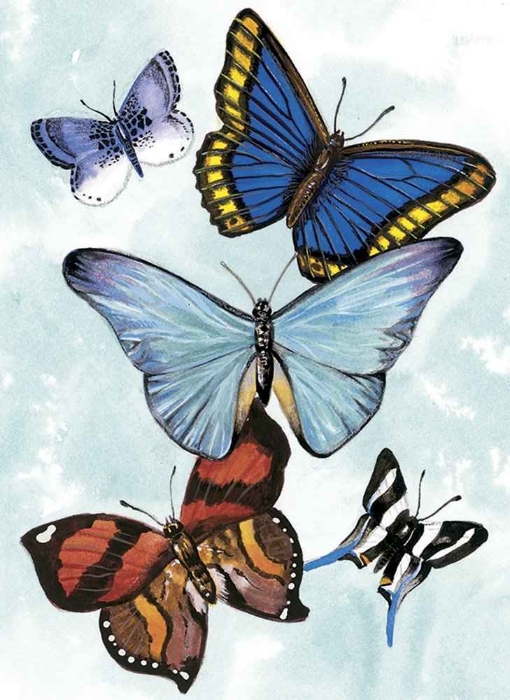 Butterfly Notebook