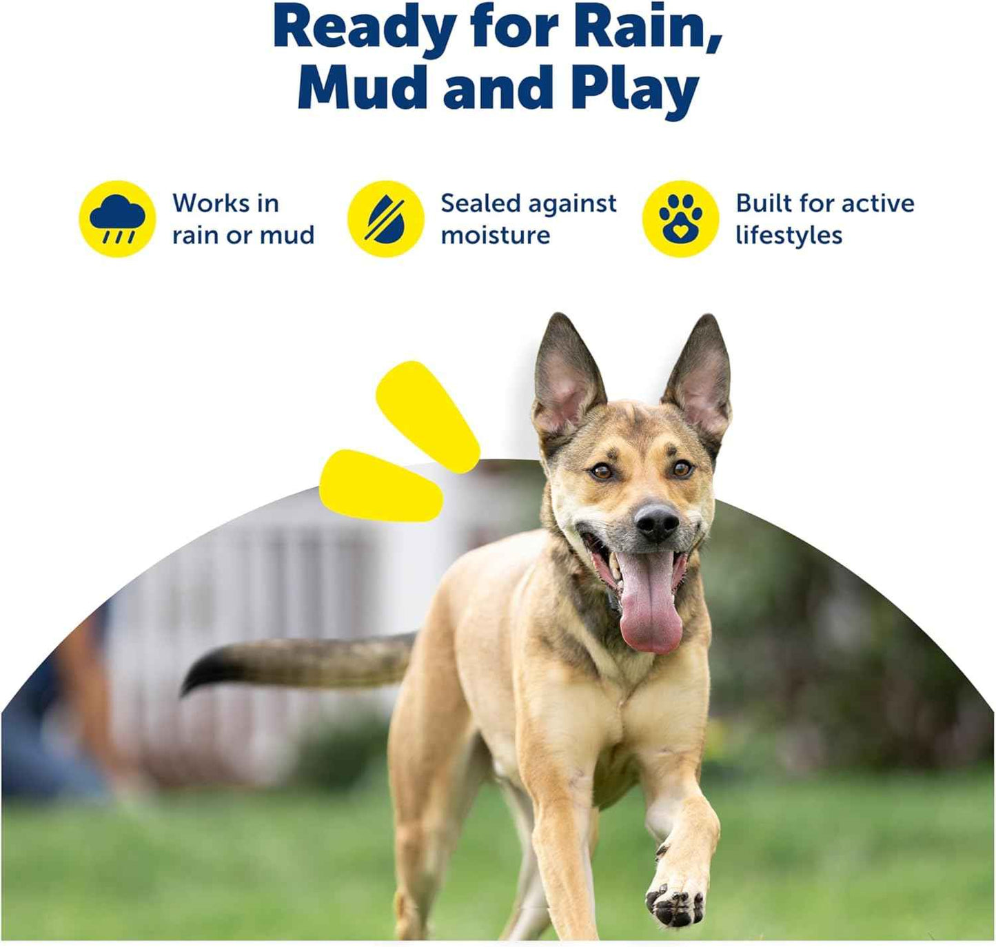 PetSafe Dog Collar Batteries (2 Pack) Dog Collar Battery Waterproof Lithium Metal Product, Rfa-67d-11