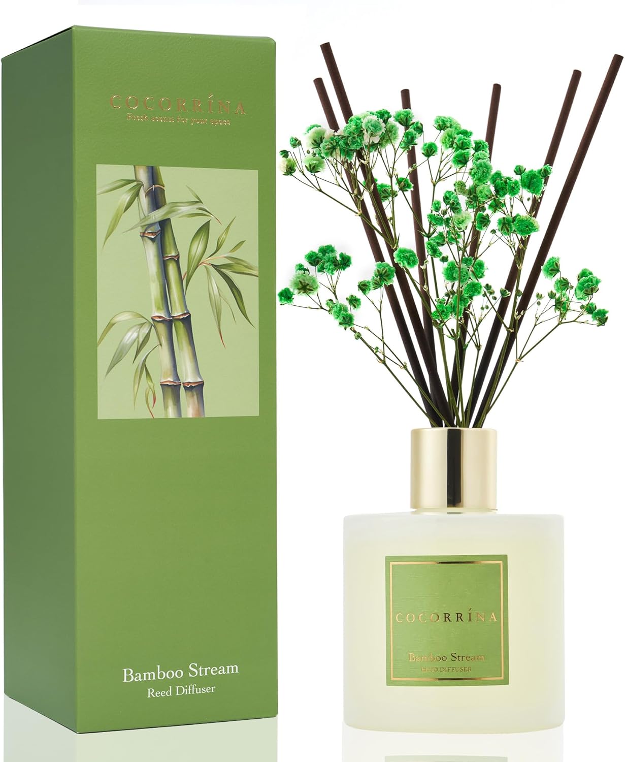 Cocorrína Premium Reed Diffuser Set with Preserved Baby's Breath & Cotton Stick Cashmere Vanilla | 6.7 fl oz Scent Fragrance Oil Diffuser for Bedroom Bathroom Home Décor
