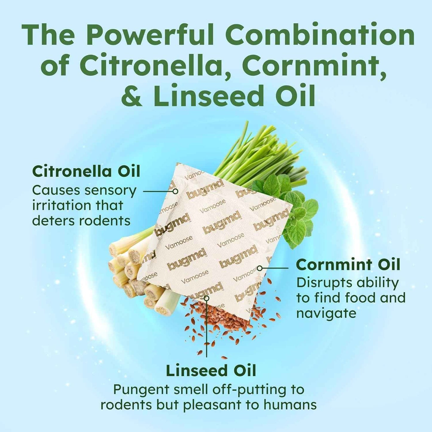 BugMD Vamoose Rodent Repellent Pouches (1 Pack, 4 Pouches) Plant-Powered Rat Repellent, Mouse Deterrent, Indoor & Outdoor Mice Repellent, Best Mouse Repellent, Natural Rat & Mouse Repellent