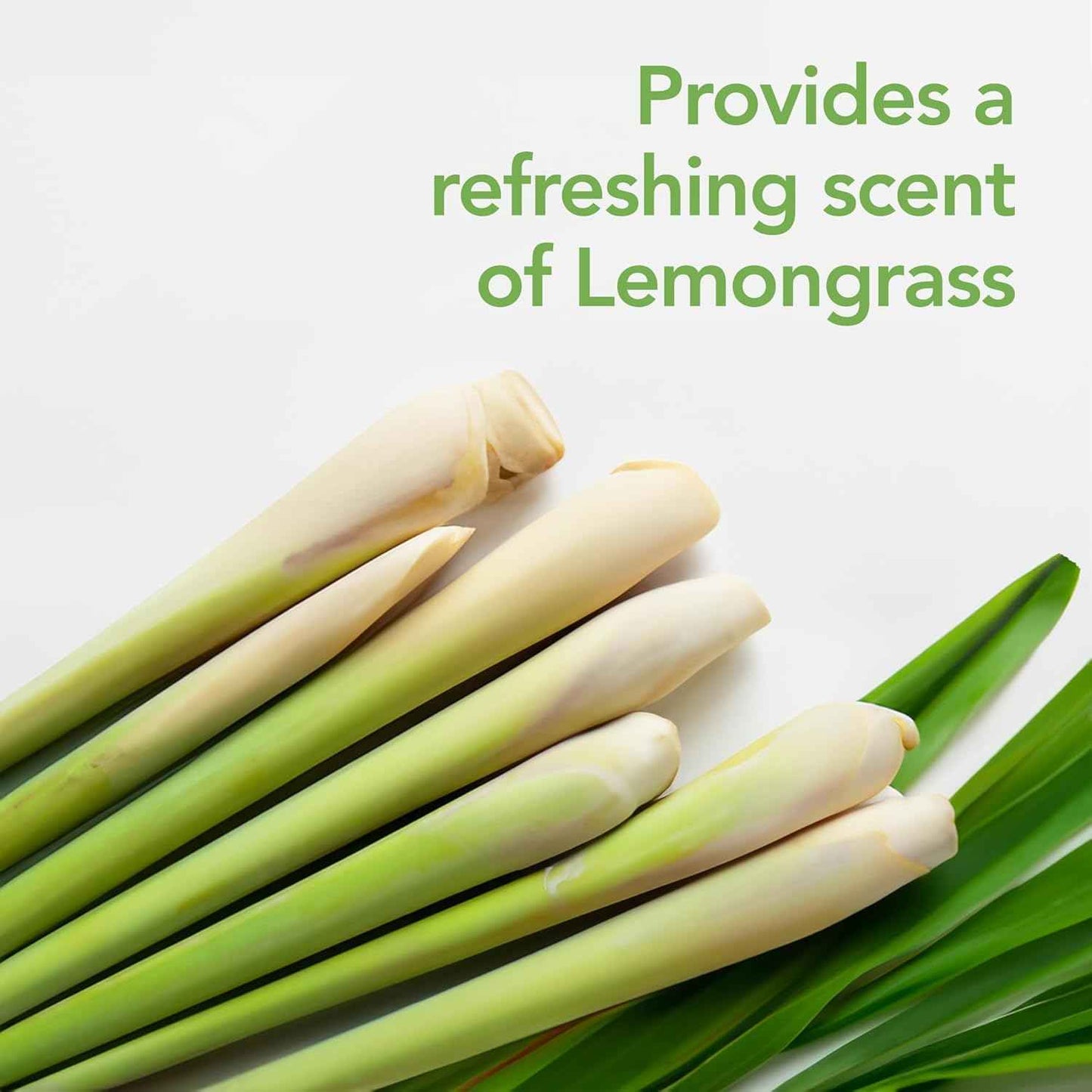 Raid Essentials Multi-Insect Killer Spray Bottle, Child and Pet Safe, for Indoor Use, Lemongrass Scent, 12 fl oz