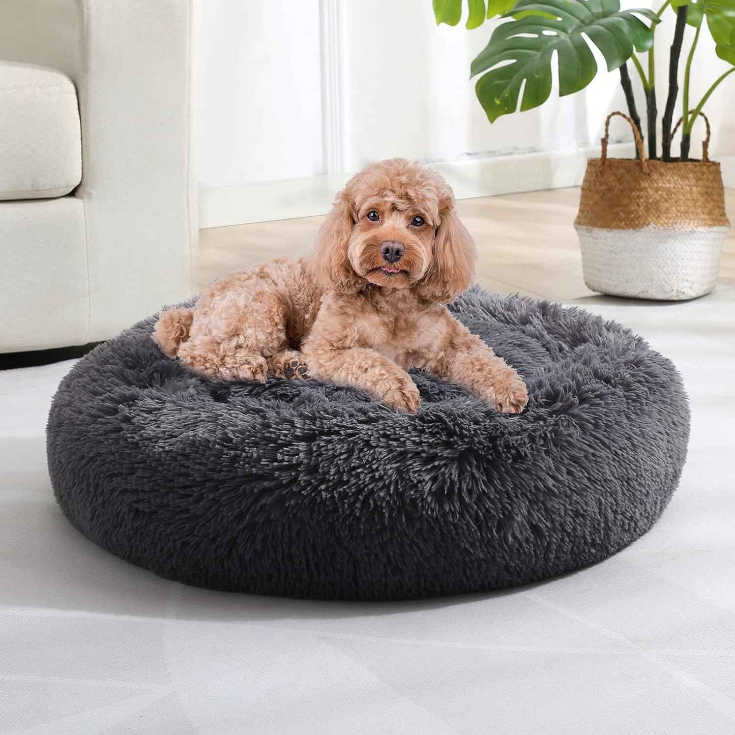 JOLLYVOGUE Dog & Cat Bed, Calming Anti-Anxiety Pet Bed for Small Dogs, Fluffy Donut Cushion for Small and Medium Pets (20")