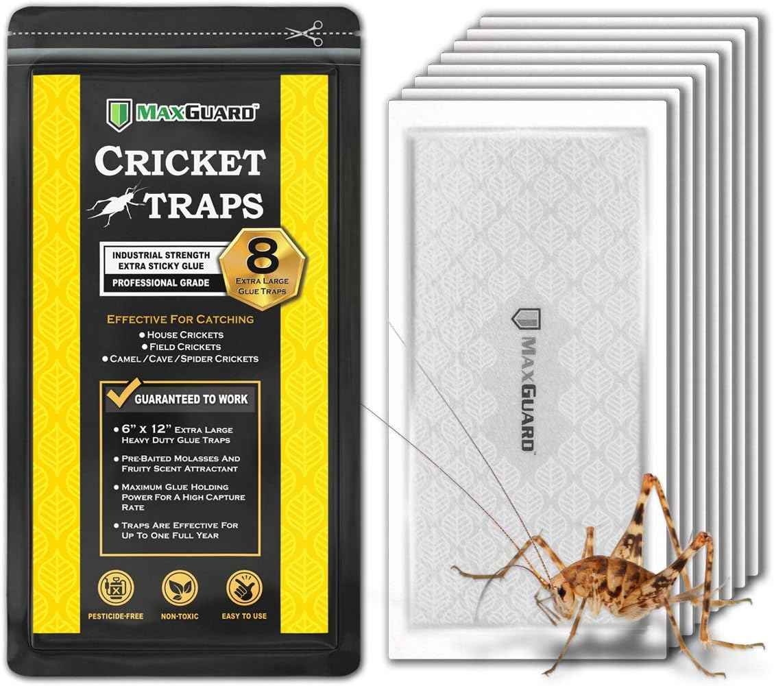 MaxGuard Extra Large Cricket Traps (8 Traps) | Non-Toxic Extra Sticky Glue Board Pre-Baited Cricket Attractant Trap & Kill House Crickets, Insects, Spiders, Bugs