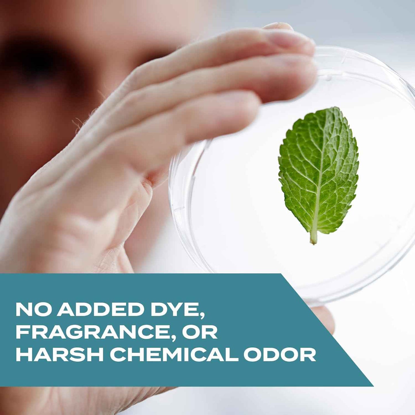 STEM Kills Fruit Fly Trap: Fruit Fly Catcher With Botanical Extracts; 5.4 fl oz (Pack Of 1)