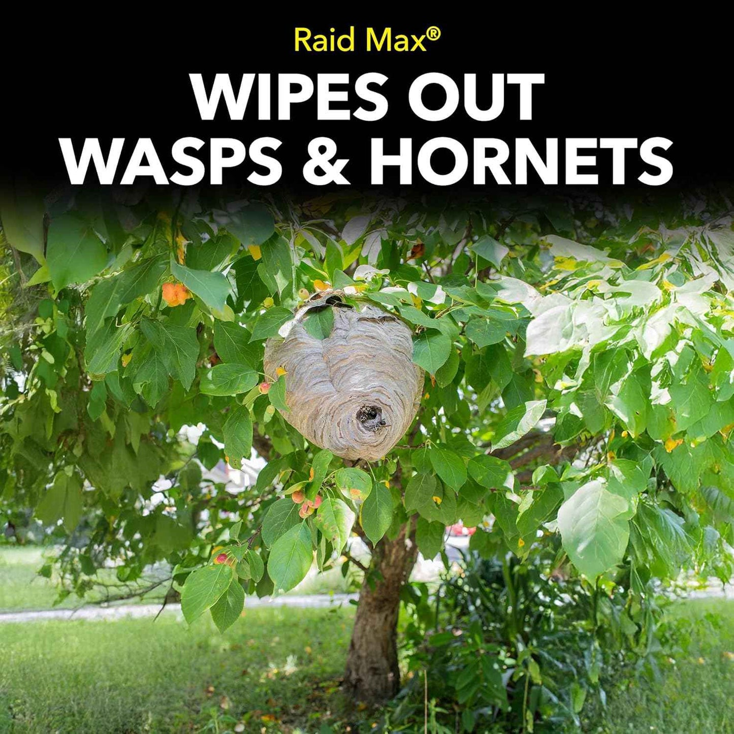 Raid Max Foaming Wasp & Hornet Killer, Fast Coverage Foam, Bug Killer Kills The Entire Nest, 16.5 oz