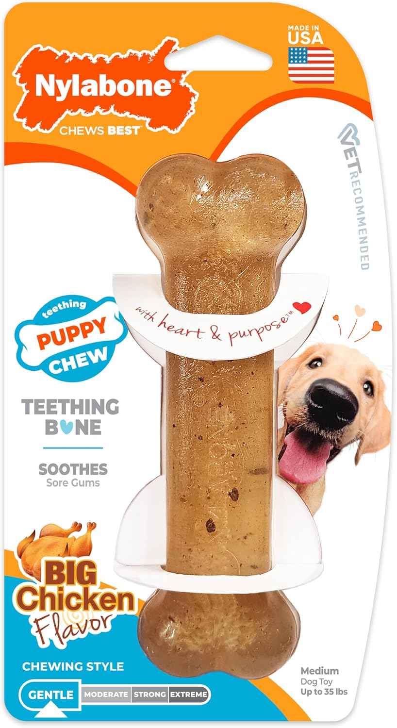 Nylabone Ring Bone Chew Toy for Puppies, Puppy Teething Toys, Puppy Enrichment Toys, Chicken Flavor, X-Small Dogs - Up to 15 lbs, 1 Count