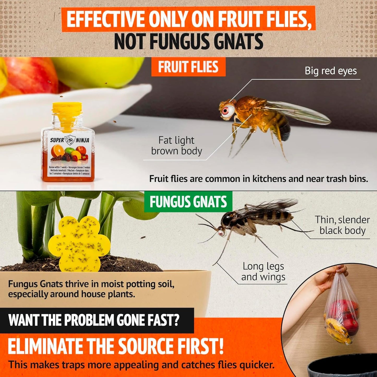 Super Ninja Fruit Fly Traps for Indoors - 4 Pack, Highly Effective Fruit Fly Catcher for Indoor Use for Home & Kitchen, Up to 3 Weeks of Performance per Bottle, Kid & Pet Friendly
