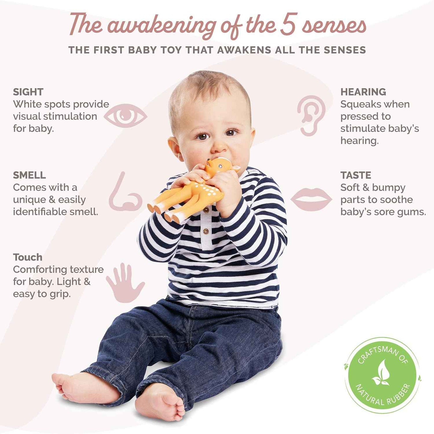 Sophie la girafe Fanfan The Fawn | Teether Friend to Sophie la girafe | Natural Rubber | Designed for Teething Babies | Awaken All 5 Senses | Easy to Clean