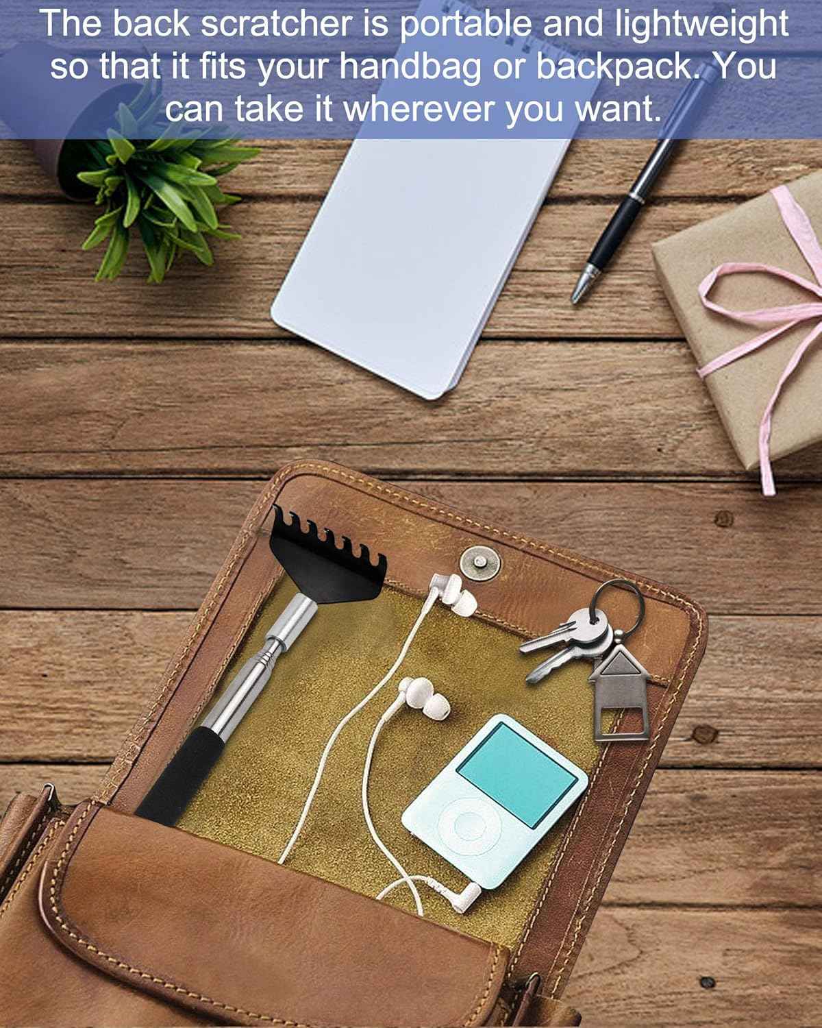 Portable Extendable Back Scratcher, 2 Pack Metal Telescoping Backscratchers for Adults, Kids,Dogs Itch Scratcher with Beautiful Gifts Packaging