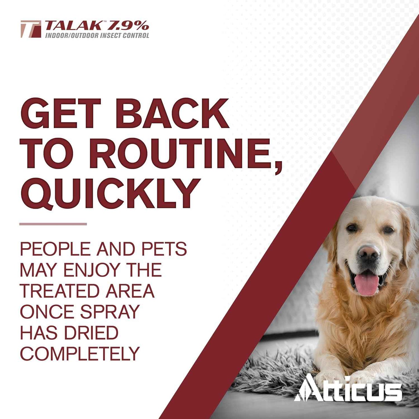 Atticus Talak 7.9% Indoor/Outdoor Insect Control - Bifenthrin Concentrate (1 GAL)