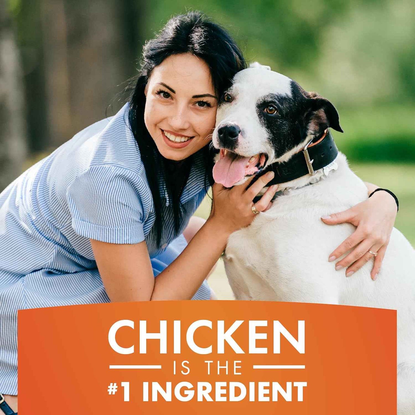 Dog Treats, Chicken Jerky for Dogs, Made with 100% Real Chicken Breast, 16 Ounces, Healthy, Easily Digestible, Long-Lasting, High Protein Dog Treat, Satisfies Dog's Urge to Chew