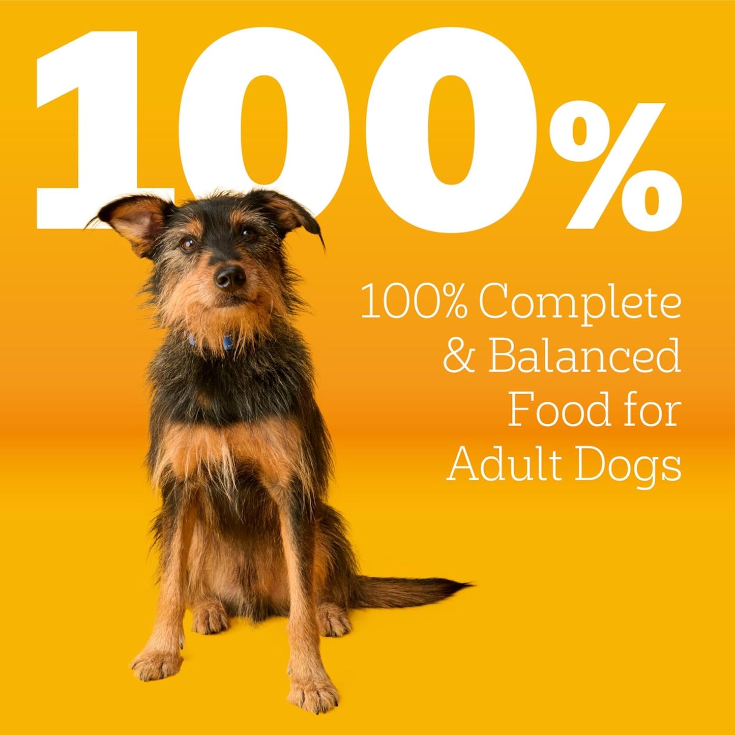 Pedigree Complete Nutrition Adult Dry Dog Food Steak & Vegetable Flavors, 18 lb. Bag