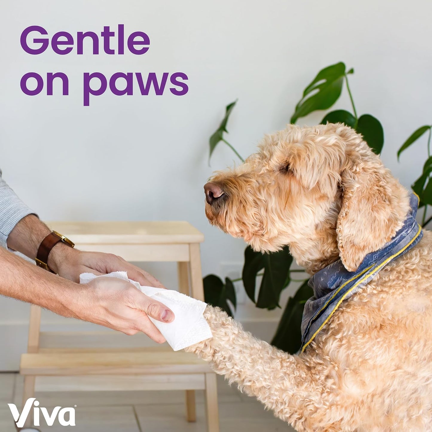 Viva Signature Cloth Paper Towels, 12 Triple Rolls, 129 Sheets per Roll - Rayz Mart