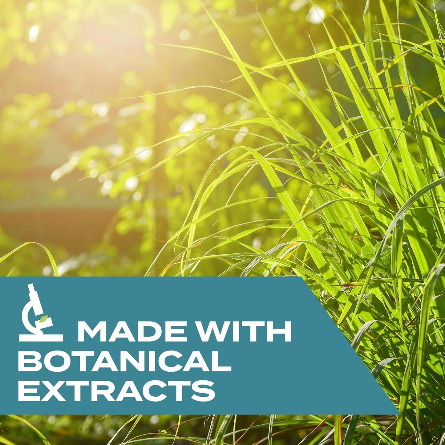 STEM Kills Fruit Fly Trap: Fruit Fly Catcher With Botanical Extracts; 5.4 fl oz (Pack Of 1)