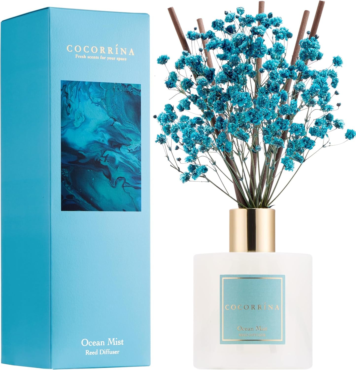 Cocorrína Premium Reed Diffuser Set with Preserved Baby's Breath & Cotton Stick Cashmere Vanilla | 6.7 fl oz Scent Fragrance Oil Diffuser for Bedroom Bathroom Home Décor