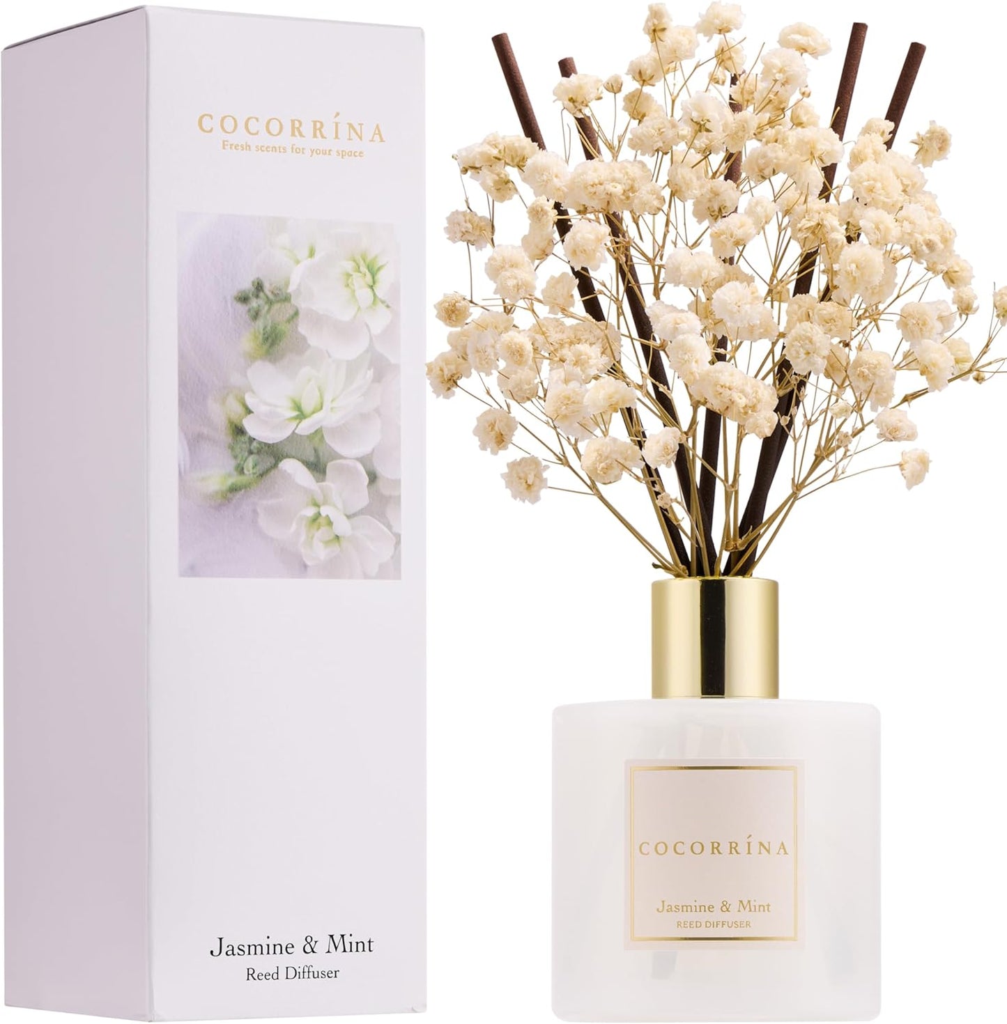 Cocorrína Premium Reed Diffuser Set with Preserved Baby's Breath & Cotton Stick Cashmere Vanilla | 6.7 fl oz Scent Fragrance Oil Diffuser for Bedroom Bathroom Home Décor