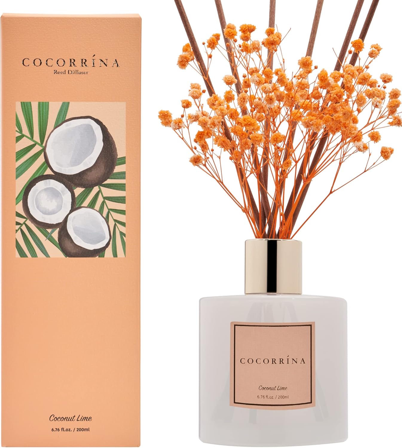 Cocorrína Premium Reed Diffuser Set with Preserved Baby's Breath & Cotton Stick Cashmere Vanilla | 6.7 fl oz Scent Fragrance Oil Diffuser for Bedroom Bathroom Home Décor