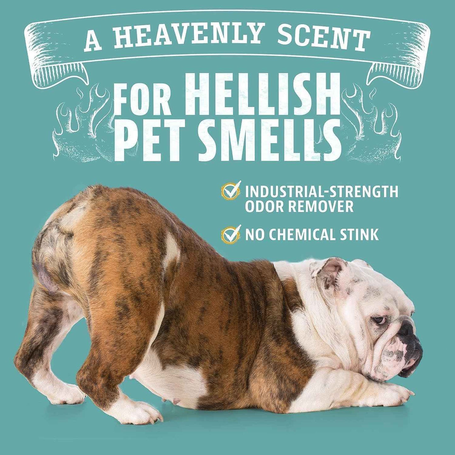 Angry Orange Pet Odor Eliminator with Natural Orange Oil – Powerful Odor Neutralizer for Cat & Dog Urine, Litter Box, Carpet, Furniture, Hard Floors - No Harsh Chemicals - Citrus Scent, 24 oz