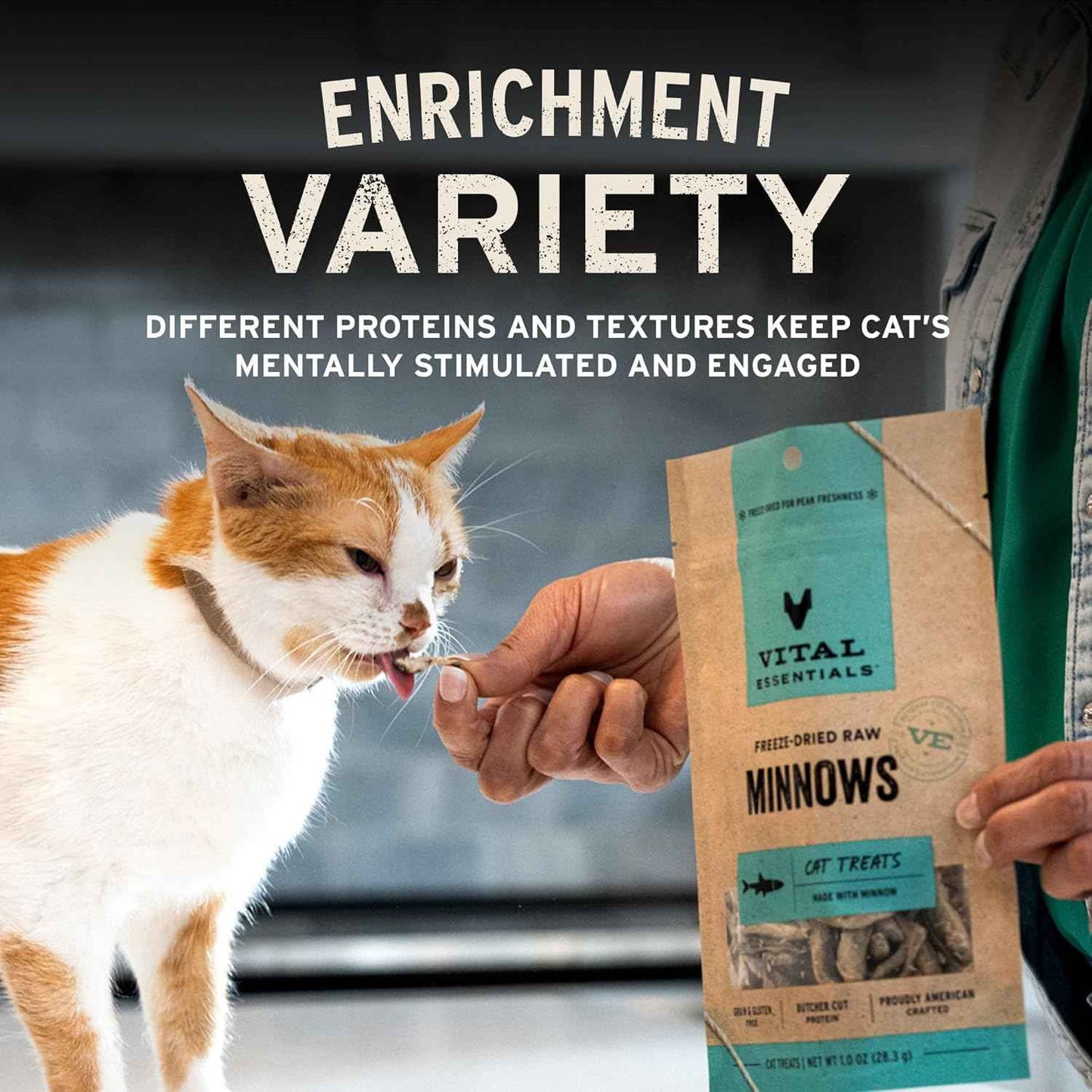 Vital Essentials Minnows Cat Treats, 0.5 oz | Freeze-Dried Raw | Single Ingredient | Grain Free, Gluten Free, Filler Free