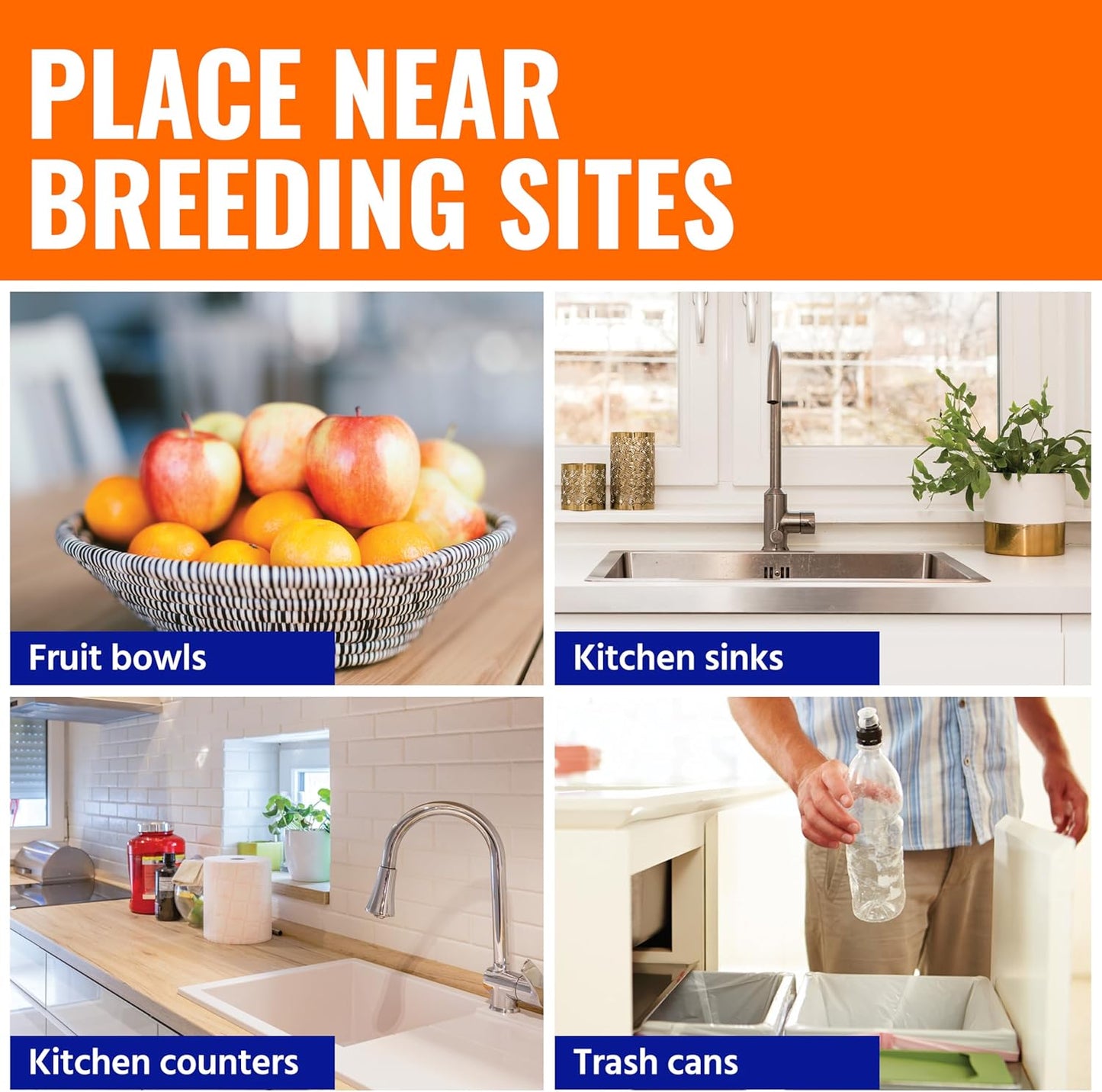 Terro Fruit Fly Traps for Indoors (6 Pack) + 270 Days of Lure Supply