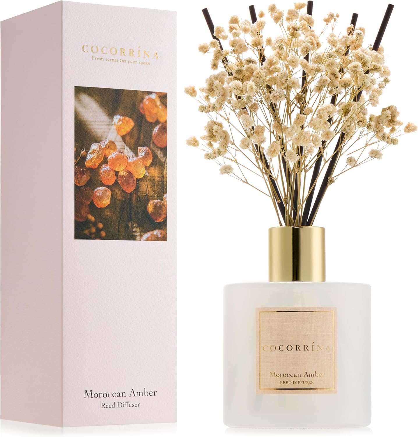 Cocorrína Premium Reed Diffuser Set with Preserved Baby's Breath & Cotton Stick Cashmere Vanilla | 6.7 fl oz Scent Fragrance Oil Diffuser for Bedroom Bathroom Home Décor