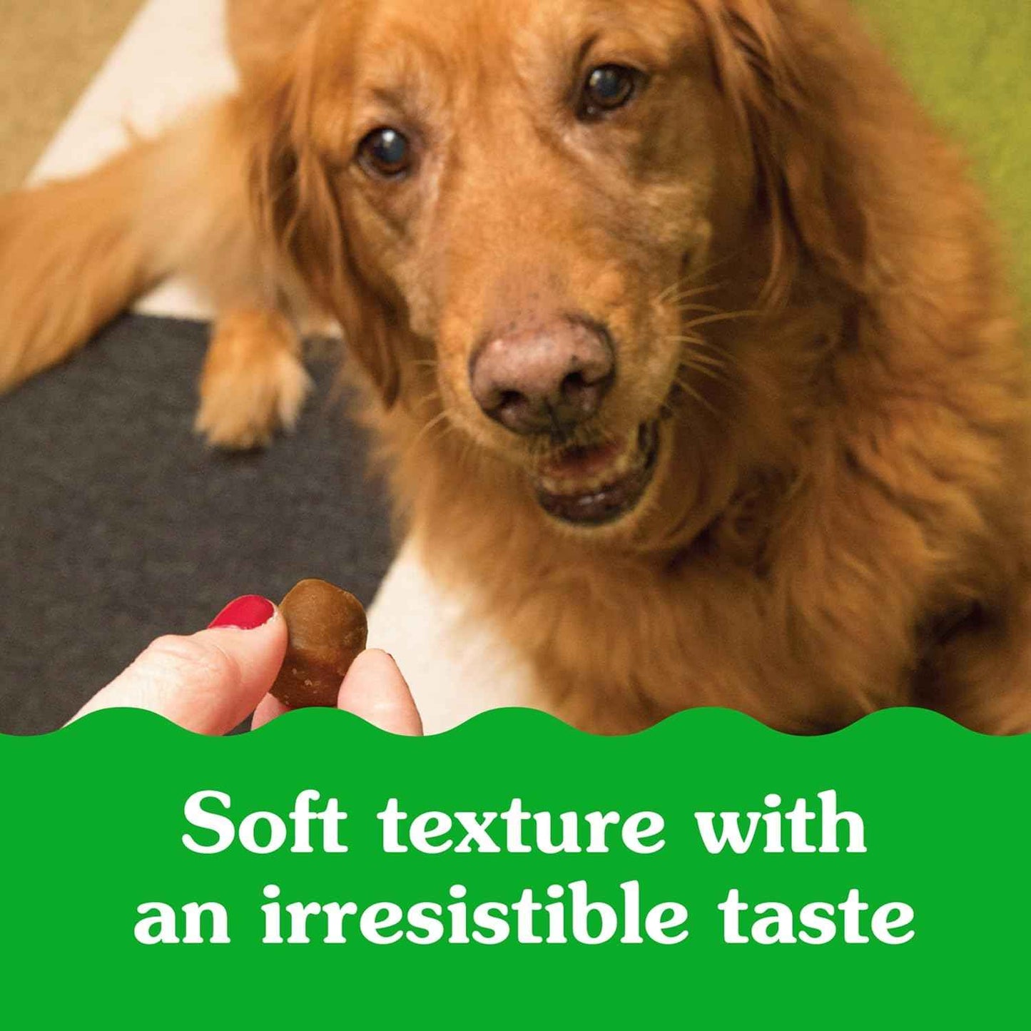 Greenies Pill Pockets for Dogs Large Size, Soft Dog Treats, Chicken Flavor, 15.8 oz. Pouch (60 Treats)