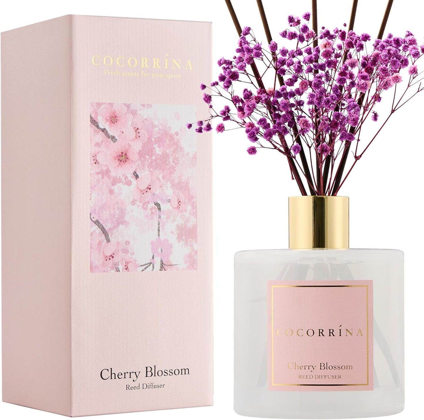 Cocorrína Premium Reed Diffuser Set with Preserved Baby's Breath & Cotton Stick Cashmere Vanilla | 6.7 fl oz Scent Fragrance Oil Diffuser for Bedroom Bathroom Home Décor