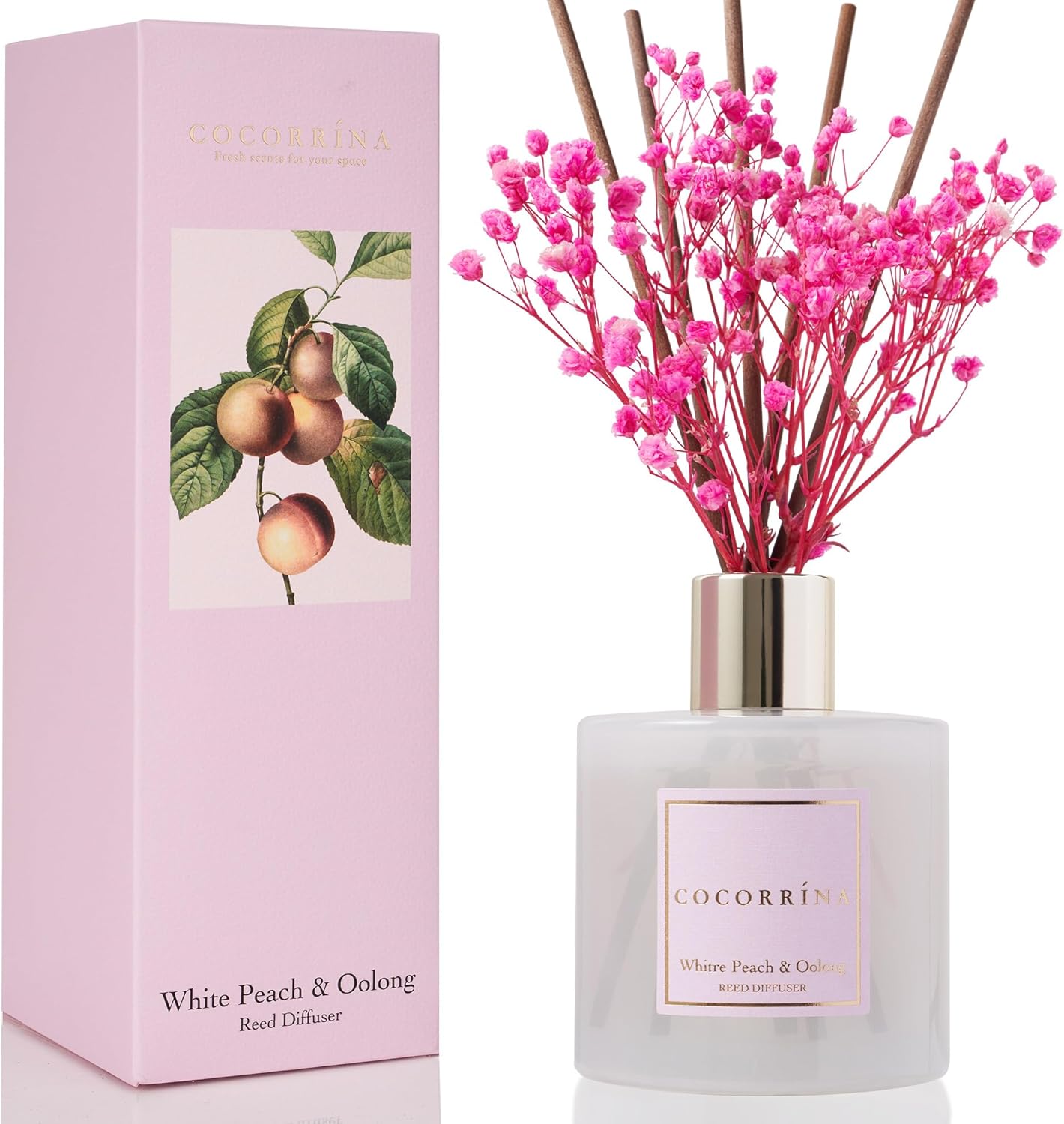 Cocorrína Premium Reed Diffuser Set with Preserved Baby's Breath & Cotton Stick Cashmere Vanilla | 6.7 fl oz Scent Fragrance Oil Diffuser for Bedroom Bathroom Home Décor